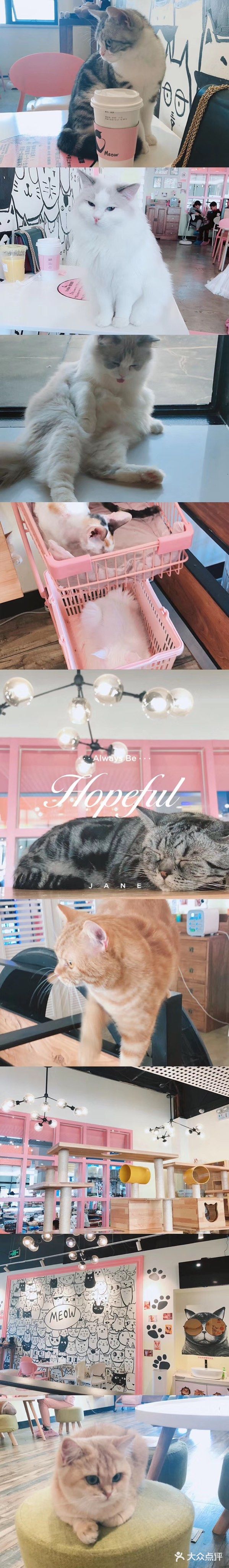 喵匠猫主题咖啡(凯德和平广场店)图片