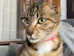 -小雅青年旅舍(平江路店)