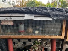 -小六农家乐(崇明西沙湿地店)