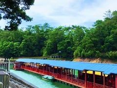 -广州市流溪河国家森林公园