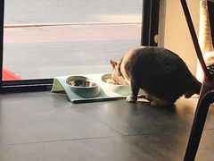 -乐果甜心·潮汕冰室(南澳后宅分店)