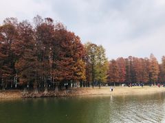 -四明湖