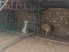 -丽泽山庄·生态怀柔菜·虹鳟鱼(红螺寺店)