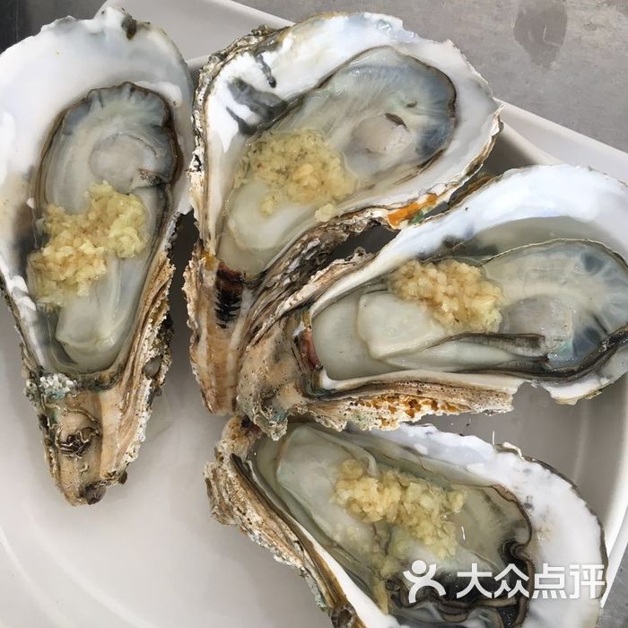 双月湾·东海湾蒸汽海鲜食坊沙白图片-北京海鲜-大众点评网