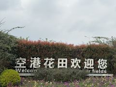 -空港花田景区