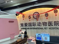 -宠爱国际动物医院·消化内科·心肾内科·ISFM猫友好(望京店)