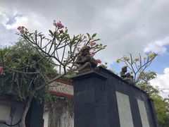-乌布德传统市场