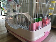 -NinoNina婴童成长中心(通州店)