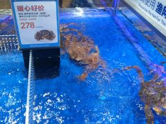 -盒马X会员店(王府井奥莱UP TOWN店)