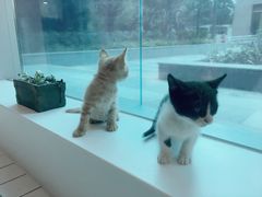 -ID.PHOTO照相馆(嘉里企业中心店)