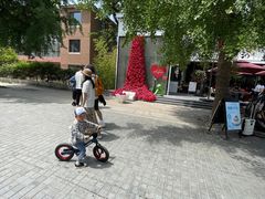 -子霖南山鲜虾面(南山总店)