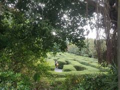 -大屏嶂森林公园