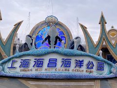 -上海海昌海洋公园