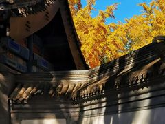 -北京国子监胡同