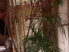 -梅间堂茶馆(绿地缤纷城店)