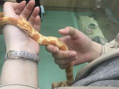 -藦茜花园宠物主题亲子互动体验馆(国顺东路店)