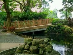 环境-香港大学