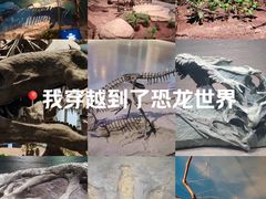 -自贡恐龙博物馆