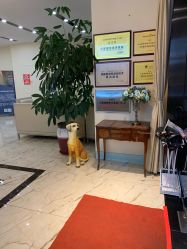 -上海锦妍医疗美容门诊部