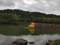 -嘉北郊野公园