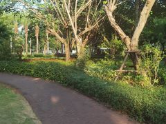 -白鹭洲公园