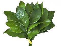 -探鱼·鲜青椒爽麻脆皮烤鱼(南京江北龙湖天街店)