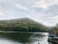 -武汉洲际酒店