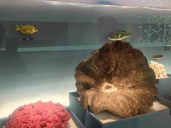 -中国湿地博物馆