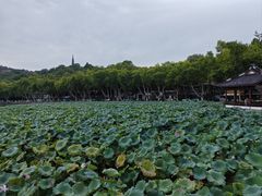 -西湖天地
