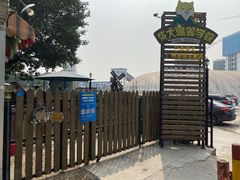 -柴犬高等学院·狗咖·柴犬售卖·宠物训练