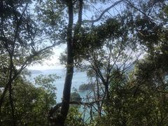 -千岛湖东南湖区