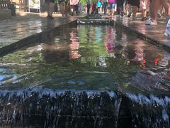 -十渡高山漂流