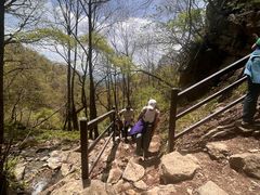 -王顺山国家森林公园