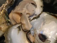 -土蚝·高压锅生蚝(百姓美食街店)