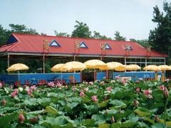 -南戴河国际娱乐中心