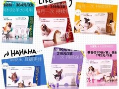 -爱宠屋pet shop·宠物洗澡·宠物美容