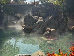 -龙佳生态温泉山庄