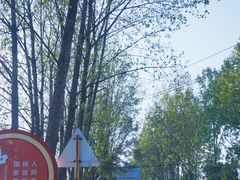 -合肥三国新城遗址公园