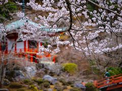 -醍醐寺