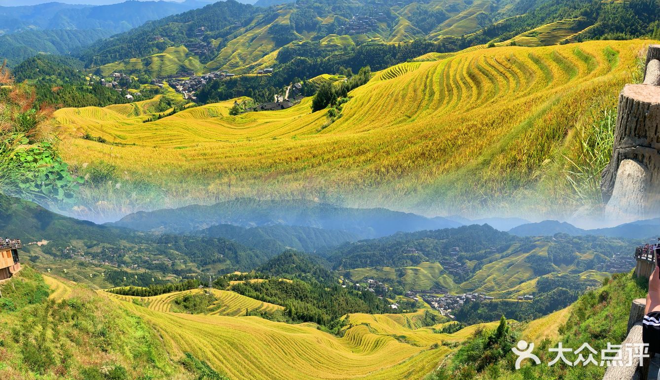龙脊“梯田”带你感受大自然的馈赠🍃