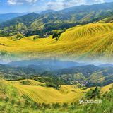 龙脊“梯田”带你感受大自然的馈赠🍃