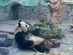 -秦皇岛野生动物园