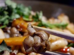 -西街夜油条·麻团包乌饭