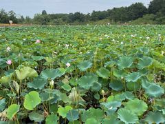 -东坡赤壁风景名胜区