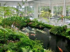 -罗红摄影艺术馆