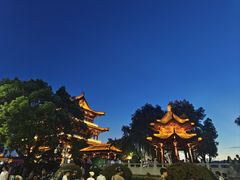 -杜甫江阁
