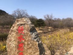 -十三陵水库