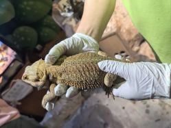 -酷嗒动物文化乐园(cutezoo西溪乐天城店)