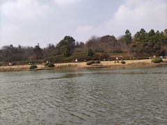 -宜兴龙背山森林公园