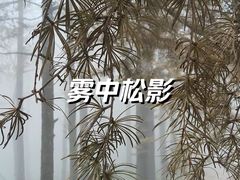 -四明山国家森林公园